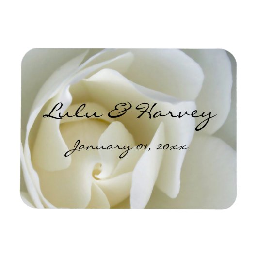 Crisp White Rose Magnet (Horizontal)
