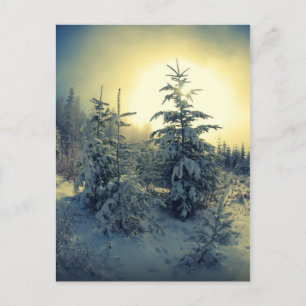 Crisp Winter Morning Postkarte