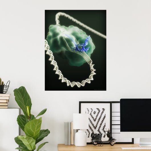 CRISPR-Cas9-Komplex am Arbeitsplatz Poster (Heimbüro)