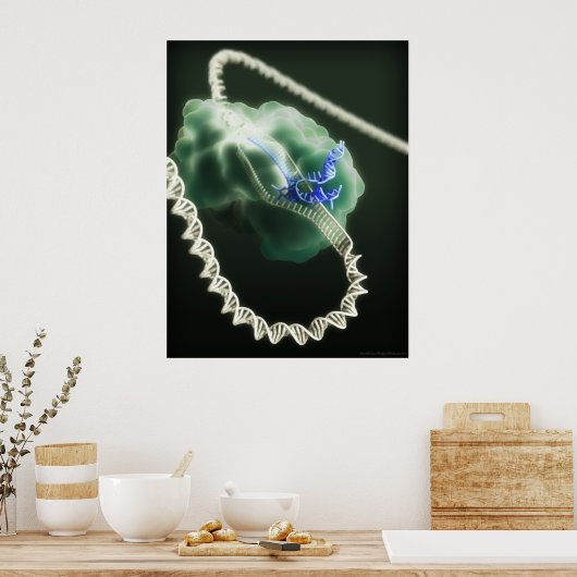 CRISPR-Cas9-Komplex am Arbeitsplatz Poster (Küche)