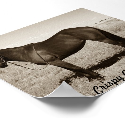 Crispy Cookie Poster (Ecke)