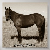Crispy Cookie Poster (Vorne)