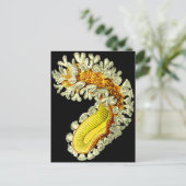 Cristatella mucedo postkarte (Stehend Vorderseite)