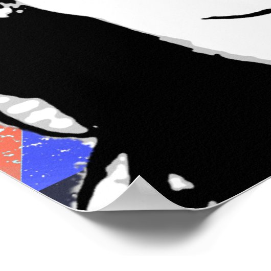 Cristina Fernandez de Kirchner Poster (Ecke)