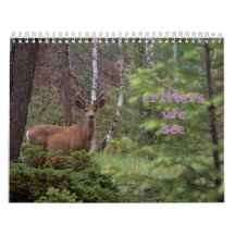 Crites, die wir sehen 