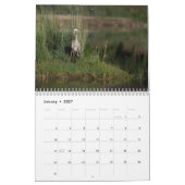 Crites, die wir sehen  kalender (Jan 2027)
