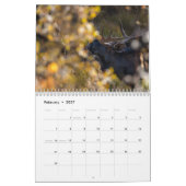 Crites, die wir sehen  kalender (Feb 2027)