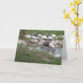 Critter am See Karte (Gelbe Blume)