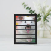 Critter ist ein Gemeiner Hamster Postkarte (Stehend Vorderseite)