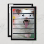 Critter ist ein Gemeiner Hamster Postkarte (Vorne/Hinten)