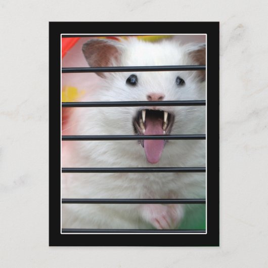 Critter ist ein Gemeiner Hamster Postkarte (Vorderseite)