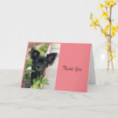 Critter Sitter LV LAGUNA Karte (Gelbe Blume)