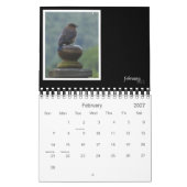 Critters & Bugs Wall Calendar 2013 Kalender (Feb 2027)