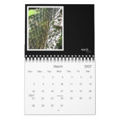 Critters & Bugs Wall Calendar 2013 Kalender (Mär 2027)