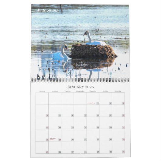 Critters Galore! Kalender (Jan 2026)