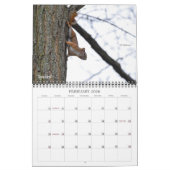 Critters Galore! Kalender (Feb 2026)