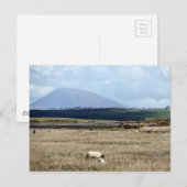 Croagh Patrick beobachtet die Herde Postkarte (Vorne/Hinten)