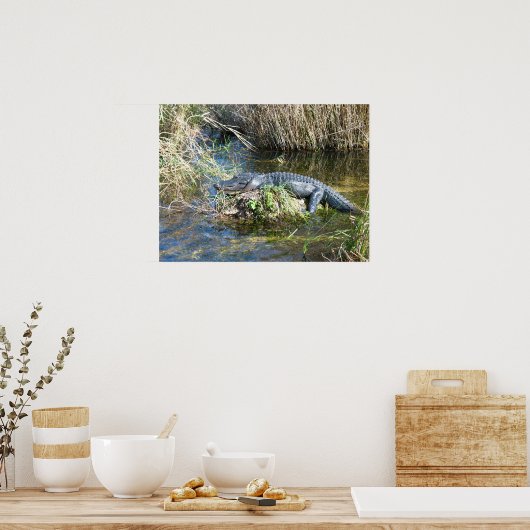 Croc Poster (Küche)