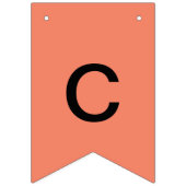 Croc y Birthday Banner (Erste Fahne)