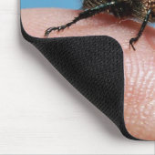 Crocobeetle mousepad (Ecke)
