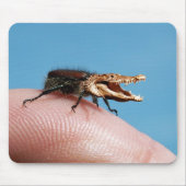 Crocobeetle mousepad (Vorne)