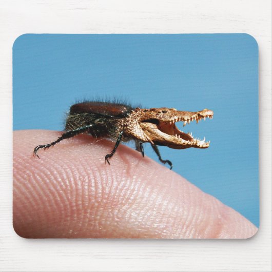 Crocobeetle mousepad (Vorne)