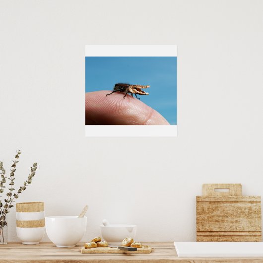 Crocobug-Plakat Poster (Küche)