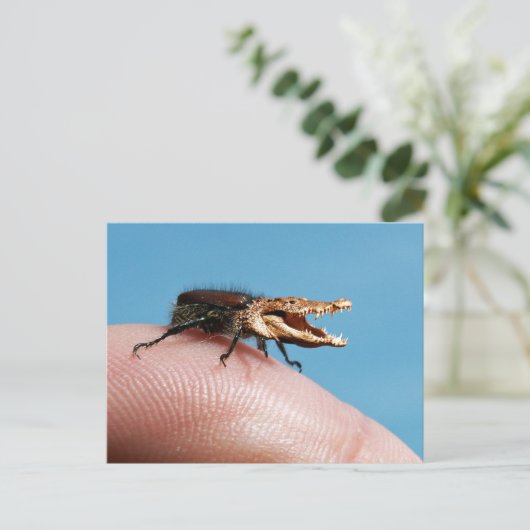 Crocobug Postkarte (Stehend Vorderseite)