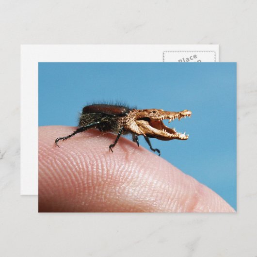 Crocobug Postkarte (Vorne/Hinten)