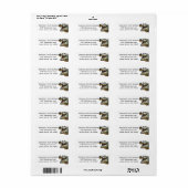 Crocodile Alligator (Vorne)