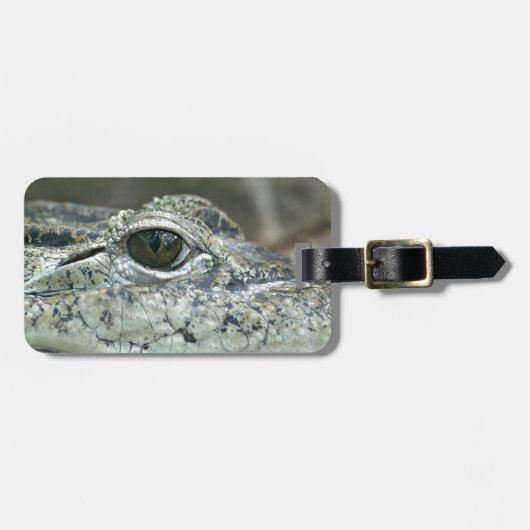 Crocodile Eye Luggage Tag Gepäckanhänger (Vorderseite horizontal)