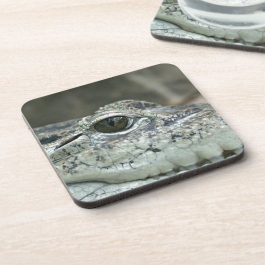 Crocodile Eye Untersetzer (Linke Seite)