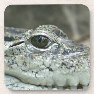Crocodile Eye Untersetzer