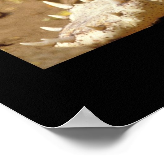 crocodile Jaws from JungleWalk.com Poster (Ecke)