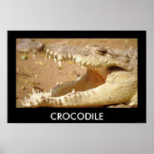 crocodile Jaws from JungleWalk.com Poster (Vorne)