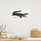 Crocodile Poster (Küche)