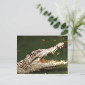 Crocodile und Caiman von Junglewalk.com Postkarte (Stehend Vorderseite)