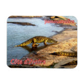 Crocodile Walking - Magnet (Horizontal)