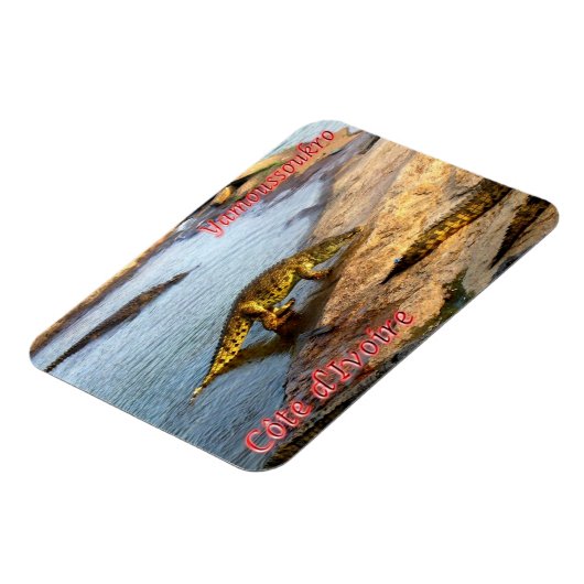 Crocodile Walking - Magnet (Linke Seite)