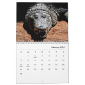 Crocodiles Wall Calendar Kalender (Feb 2027)
