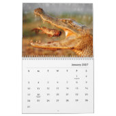 Crocodiles Wall Calendar Kalender (Jan 2027)