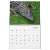 Crocodiles Wall Calendar Kalender (Mär 2027)