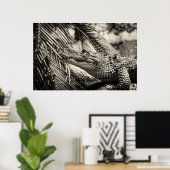 Crocodylus Moreletii Poster (Heimbüro)