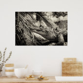 Crocodylus Moreletii Poster (Küche)