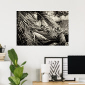 Crocodylus Moreletii Poster (Heimbüro)