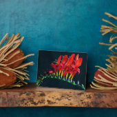 Crocosomia Lucifer Montbretia Floral Fotoplatte (Seite)