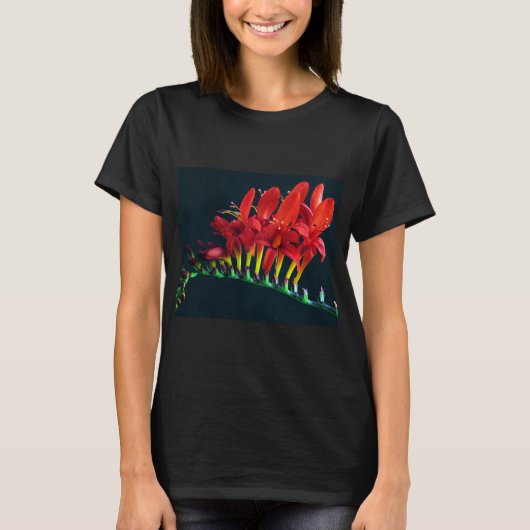 Crocosomia Lucifer Montbretia Floral T-Shirt (Vorderseite)