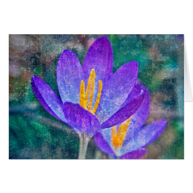 Crocus (Vorderseite (Horizontal))