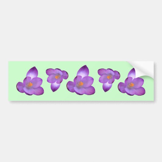 Crocus 1, Crocus 1, Crocus 1, Crocus 1, Crocus 1, Autoaufkleber (Vorne)