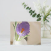 Crocus Arrangement Postkarte (Stehend Vorderseite)